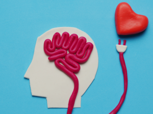 Inteligencia Emocional y Comunicación Asertiva