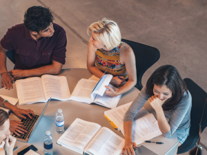 Talleres integradores y análisis de casos